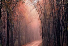 1-0，73岁老帅神了：率罗马7连胜+连续14轮不败，一夜逼近意甲前4.