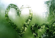 乐天堂体育：2025年大乐透首个亿元奖诞生：福建爆1.11亿巨奖.